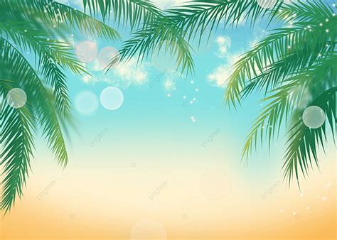 Tropical Summer Palm Tree Background Summer Coconut Tree Coconut