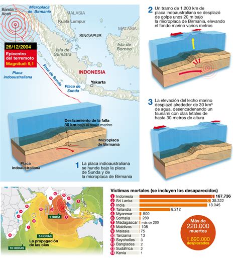 InfografÍa 10 Años Del Brutal Tsunami