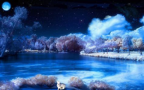 Winter Snow Scenes At Night Amazing Wallpapers