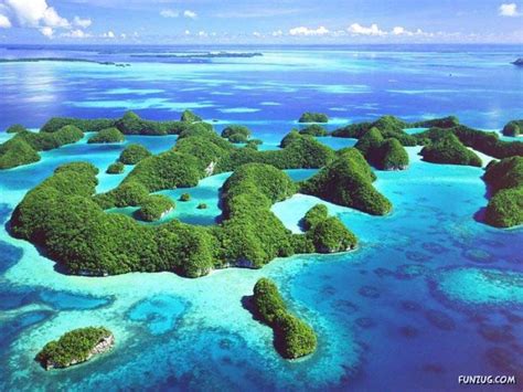 The Life Beautiful Nature At Palau