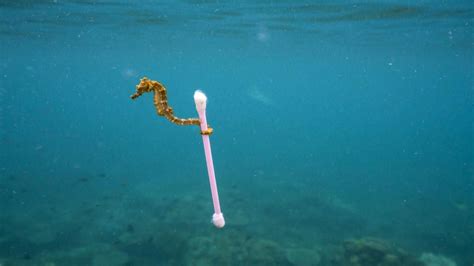 Plastics In The Ocean Plastic Pollution National Geographic Pollution