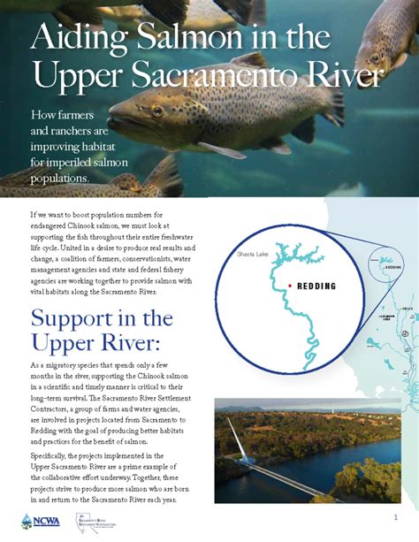 New Sacramento Valley Salmon Recovery Project Will Aid Salmon In The