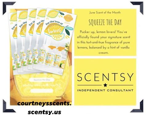 Scentsy Squeeze The Day Clean Bundle For 28 Scentsy Signature Scent