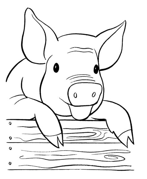 Printable Coloring Pages Pig Alejandraaxpacheco