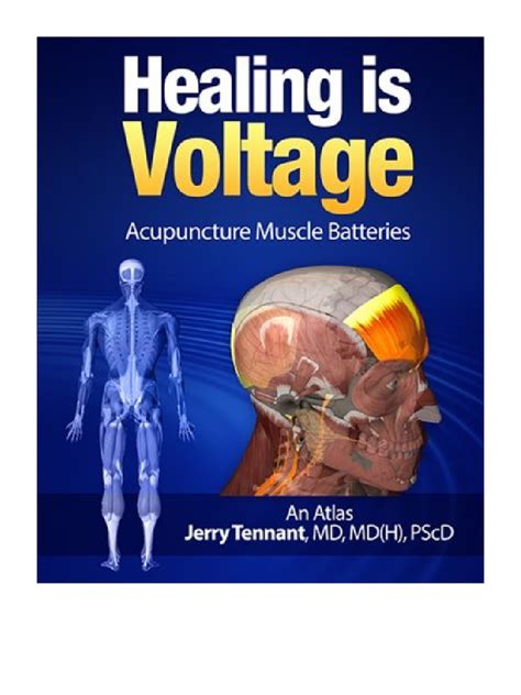 Healing Is Voltage Acupuncture Muscle Batteries Md Jerry L Tennant