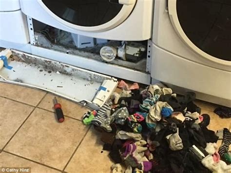Image Showing How Socks Were Eaten By Washing Machine Goes Viral Daily Mail Online