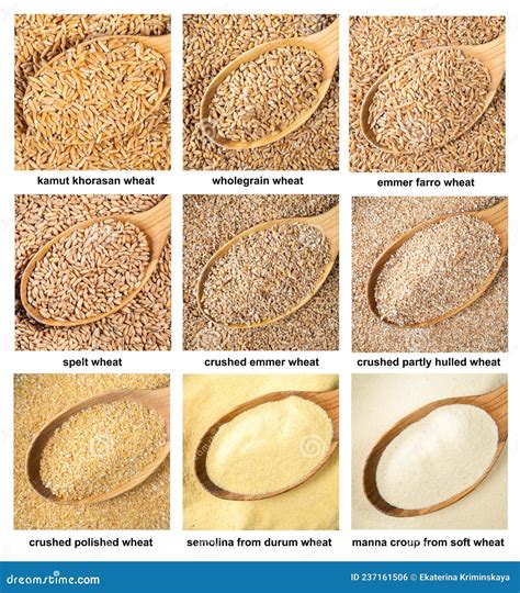 Set Of Various Wheat Grains In Wood Spoons Closeup Stock Photo Image