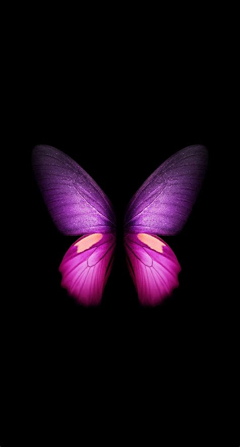 Live Butterfly Wallpaper Kolpaper Awesome Free Hd Wallpapers