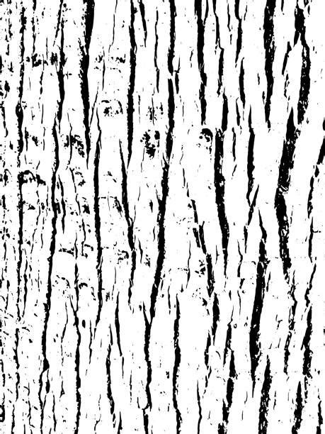 1500 Oak Tree Bark Stock Illustrations Royalty Free Vector Graphics