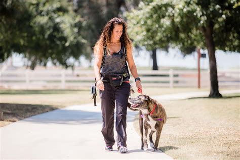 The Ultimate Guide To Loose Leash Walking Canine Learning Academy The
