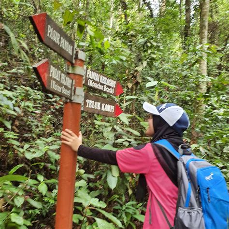 We are going to challenge to reach pantai kerachut by. Pengalaman Jungle Trekking di Taman Negara Pulau Pinang ...