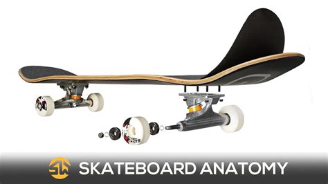 Skate Basics The Anatomy Of A Skateboard Youtube