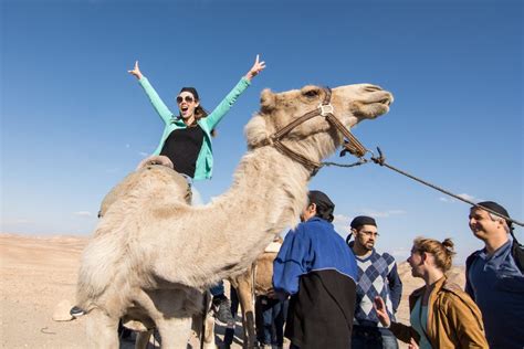 Camel Riding In Israel Negev Camel Ranch Kfar Hanokdim