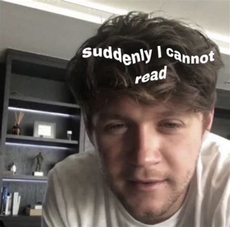 Niall Horan In 2020 Meme Faces One Direction Memes Facial