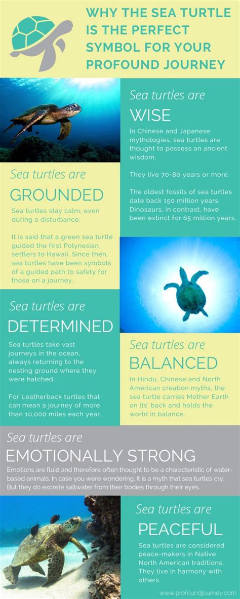 Why The Sea Turtle Is The Perfect Symbol For Your Turtle Spirit