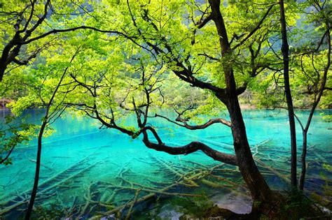 Lake In Jiuzhaigou National Park Sichuan China Stock Photo Image Of