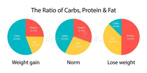 Relação De Diagrama De Carboidratos Gorduras E Proteínas Para Aumento