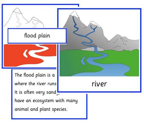 Parts Of A River Montessori