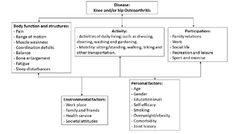 The International Classification Of Functioning Disability And Health