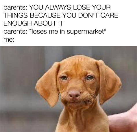 Funny But Sad Memes Dog Bread