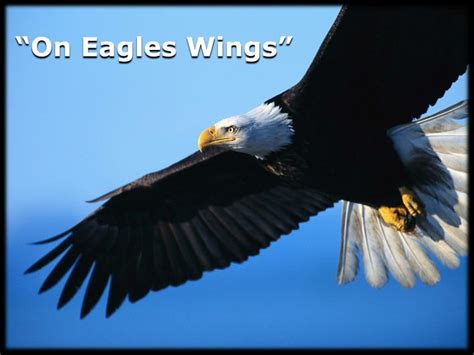 Ppt On Eagles Wings Powerpoint Presentation Free Download Id2647954