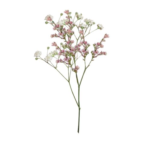 Find & download free graphic resources for flower background. flower flowers background overlay aesthetic icon tumblr...