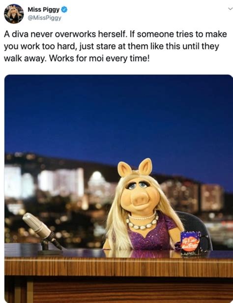 The Muppets On Twitter 20 Pics