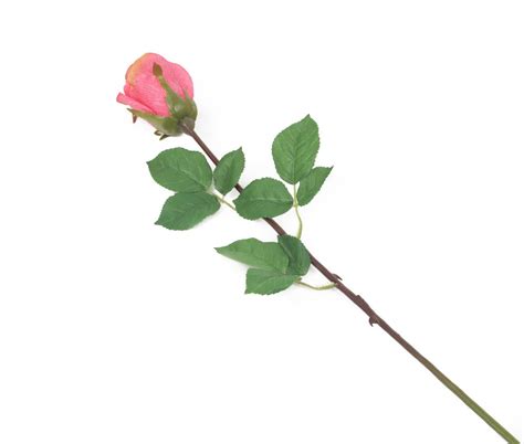 Artificial 52cm Single Stem Closed Bud Coral Pink Rose Artplants