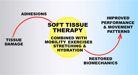 soft tissue therapy explained prehab exercises