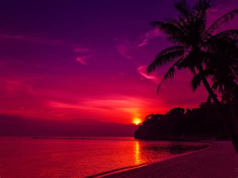 Beautiful Sunset Desktop Wallpaper Widescreen Hd