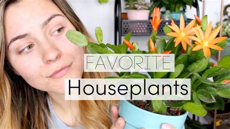 My Favorite Indoor Plants Spring 2018 Favorite Houseplants Youtube