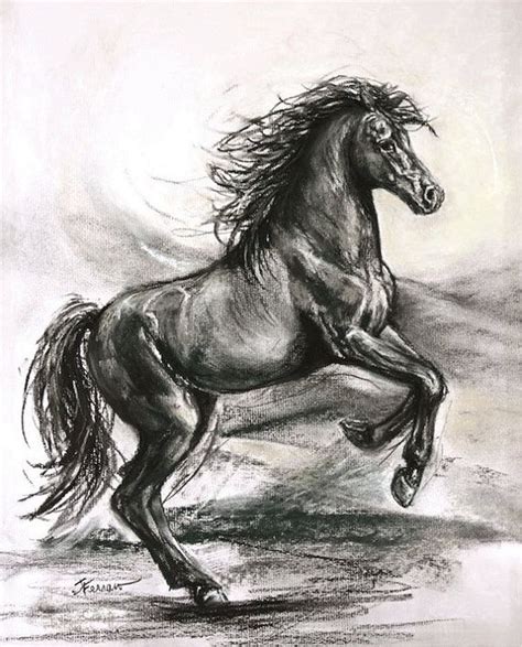 Original Horse Charcoal Drawing Original Illustration Original Etsy