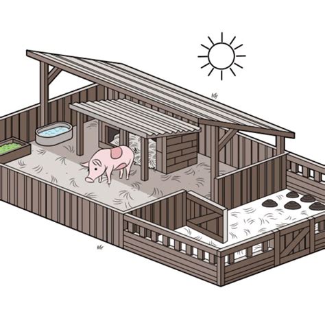 How To Set Up A Pig Pen Pig Farming Raising Pigs Pig House