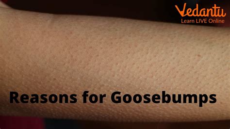 Learn Why Do We Get Goosebumps And The Processes To Get Rid Of Them