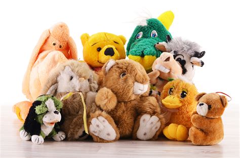 Stuffed animals are an excellent companion for kids. Stuffed Animals… | SiOWfa15: Science in Our World ...