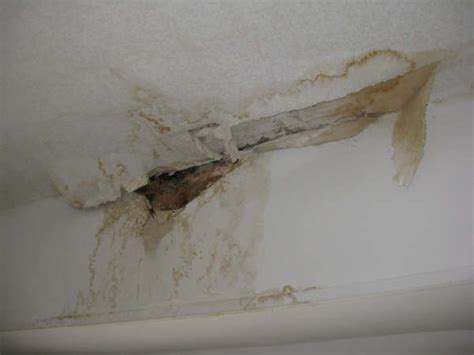 One of the possible reasons for water leaking from ceiling could be damaged roof or roof deterioration. Stopping the Leak - Shoreline Water District Headquarters ...