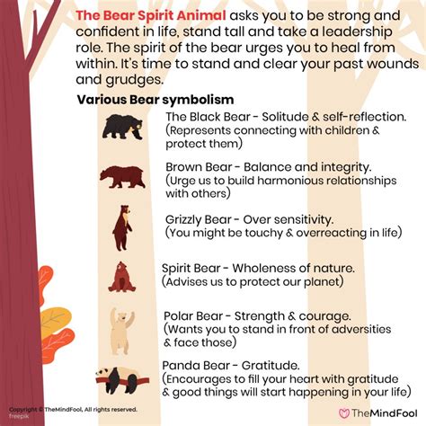 Bear Meaning Bear Symbolism Bear Spirit Animal What Does A Bear