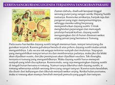 Beberapa tahun kemudian, bisnis jveernadhana sukses. Bahasa Melayu Tahun Satu: Marilah membaca cerita-cerita ...