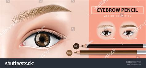 Eyebrows Pencil Banner Design Vector Illustration Stock Vector Royalty
