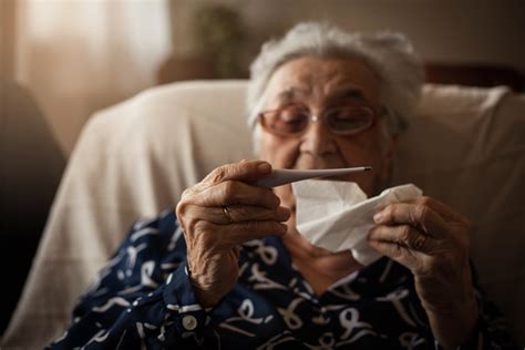 Senior Flu Vaccine Info Companion Home Care Baltimore Md Trusts