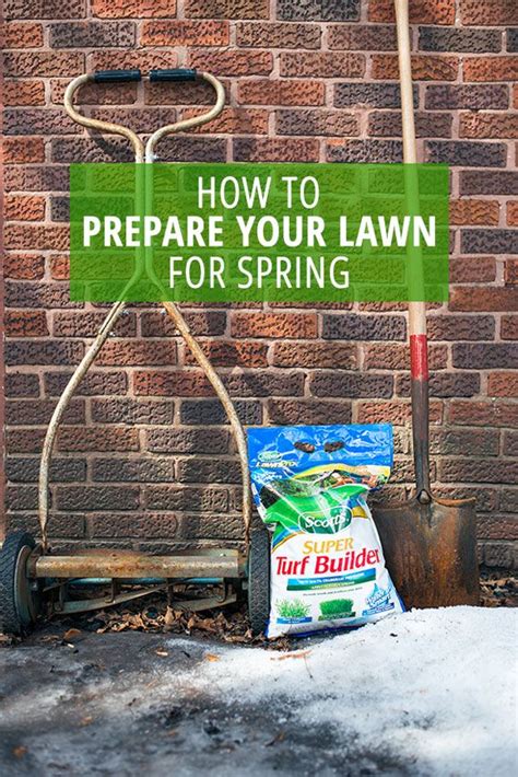 3 Steps To De Winterizing Your Lawn For Spring Winter Lawn Spring