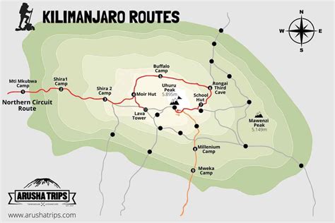 Kilimanjaro The Northern Circuit Route 9 Days Arusha Trips