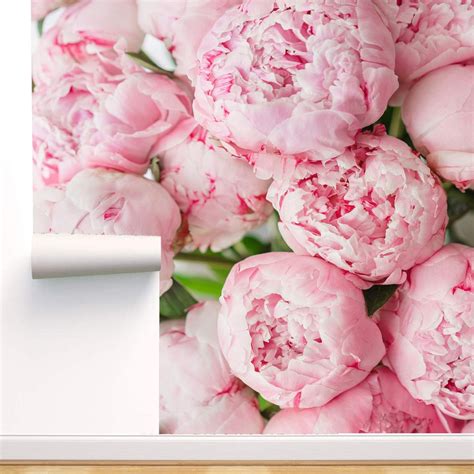 Bright Pink Peony Flowers Wallpaper Mural Removable Peel