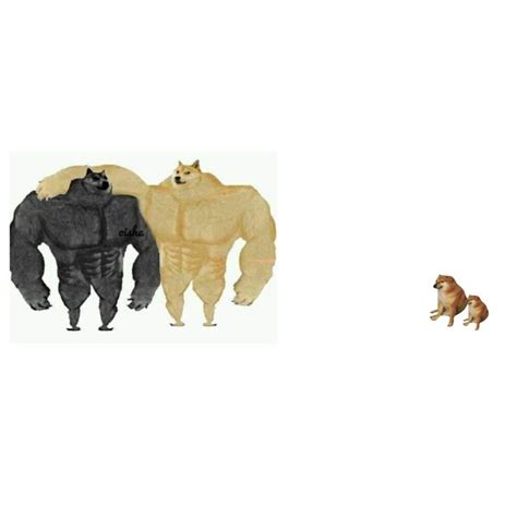 Discover the magic of the internet at imgur, a community powered entertainment destination. #meme_template #doge #mighty_dog #cheems in 2020 | Doge ...