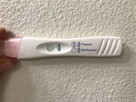 Faint Positive Target Brand Pregnancy Test Pregnancy Test