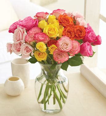 Ring smart home security systems. Valentines Day Flowers: Get Two Dozen Roses Only $19.99 at ...