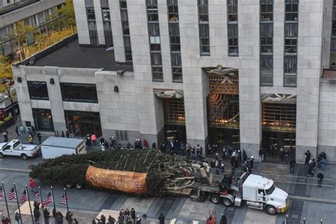Ready Or Not Rockefeller Centers Christmas Tree Has Arrived Huffpost