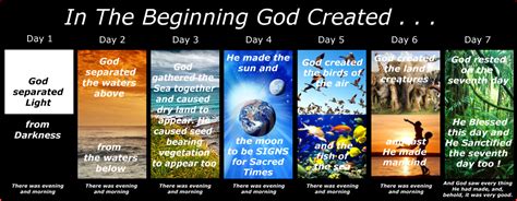 Pin By Gann Potharam On Values Ii Class 7 Days Of Creation Days Of