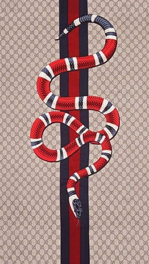 Pin By Mohamed Seydi On Design Gucci Wallpaper Iphone Snake