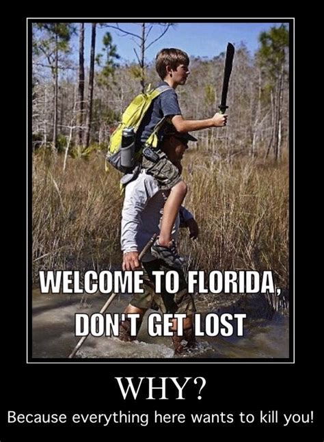 Everything Yes Everything Florida Funny Fun Quotes Funny Florida Man Meme